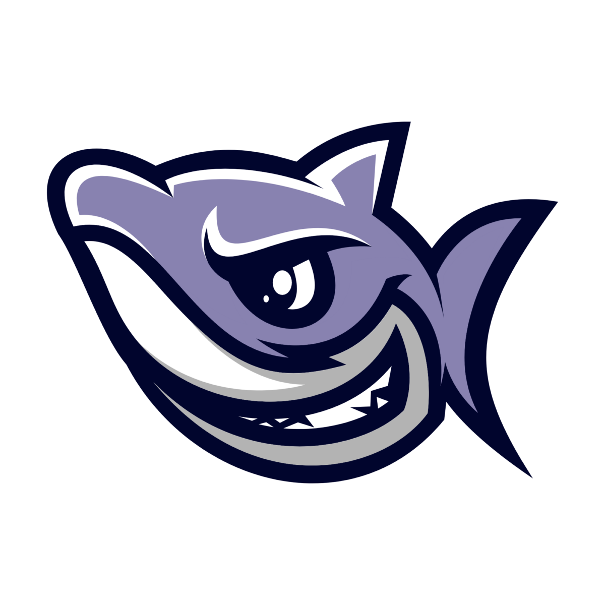 Logo Saute requin